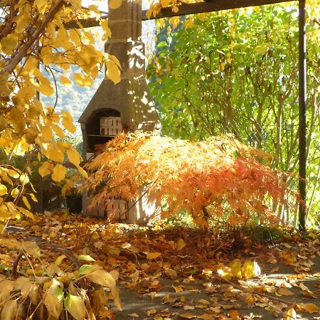 Fewo Batek Daire Trechtingshausen Dış mekan fotoğraf