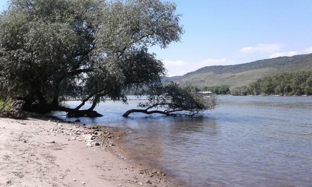 Fewo Batek Daire Trechtingshausen Dış mekan fotoğraf